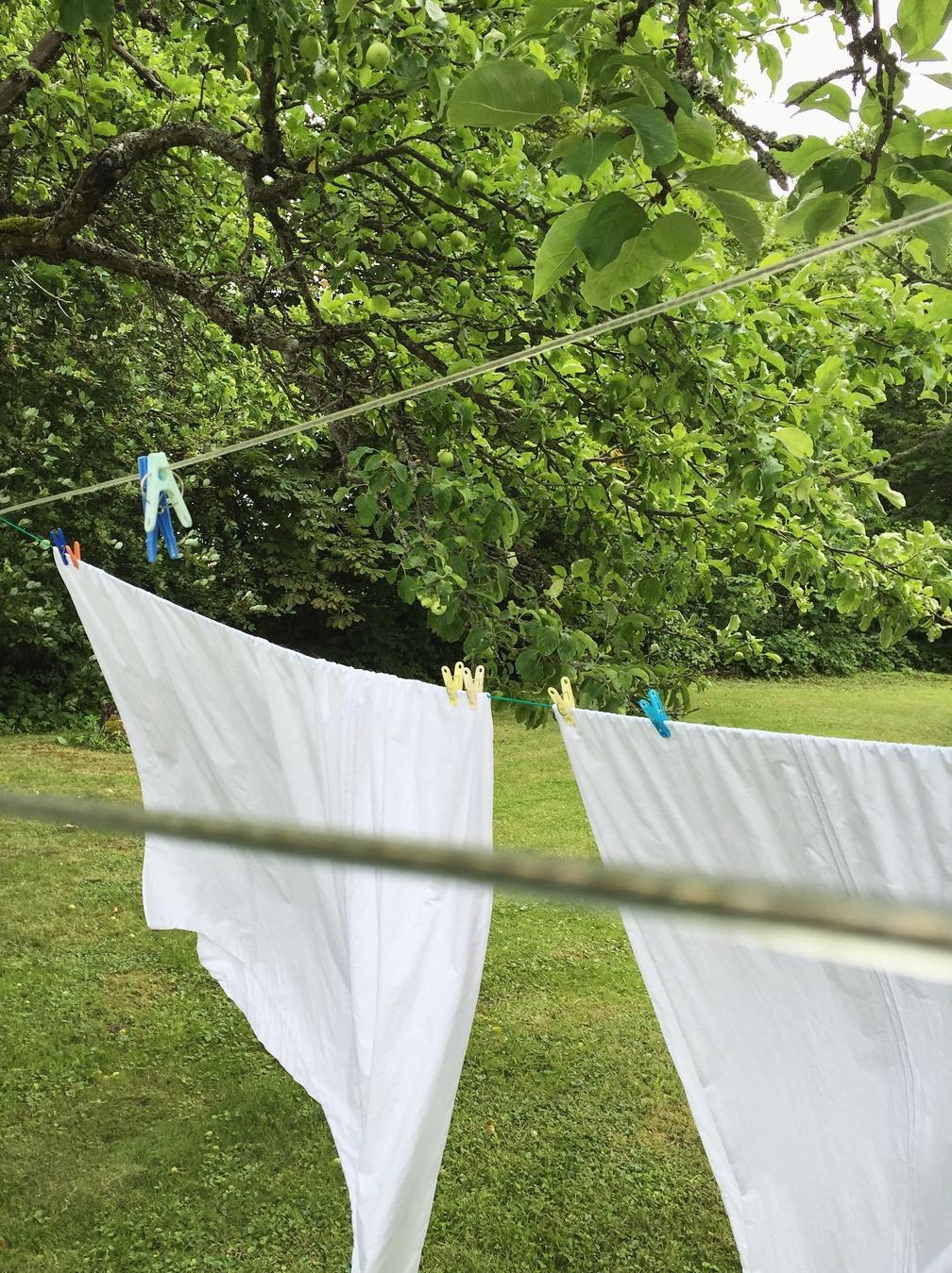 Draps blancs en coton séchant à l’air libre dans un jardin verdoyant, illustrant un mode d’entretien naturel et écologique du linge de maison.