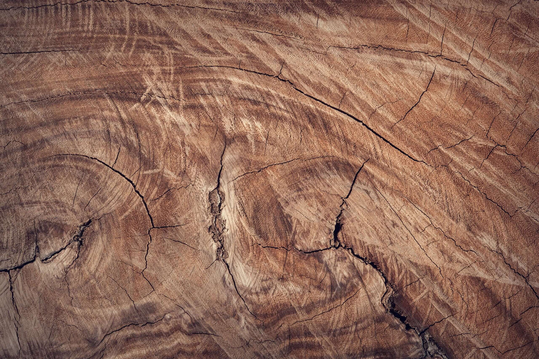 Voyage au pays des essences de bois : les différents types de bois pour le mobilier