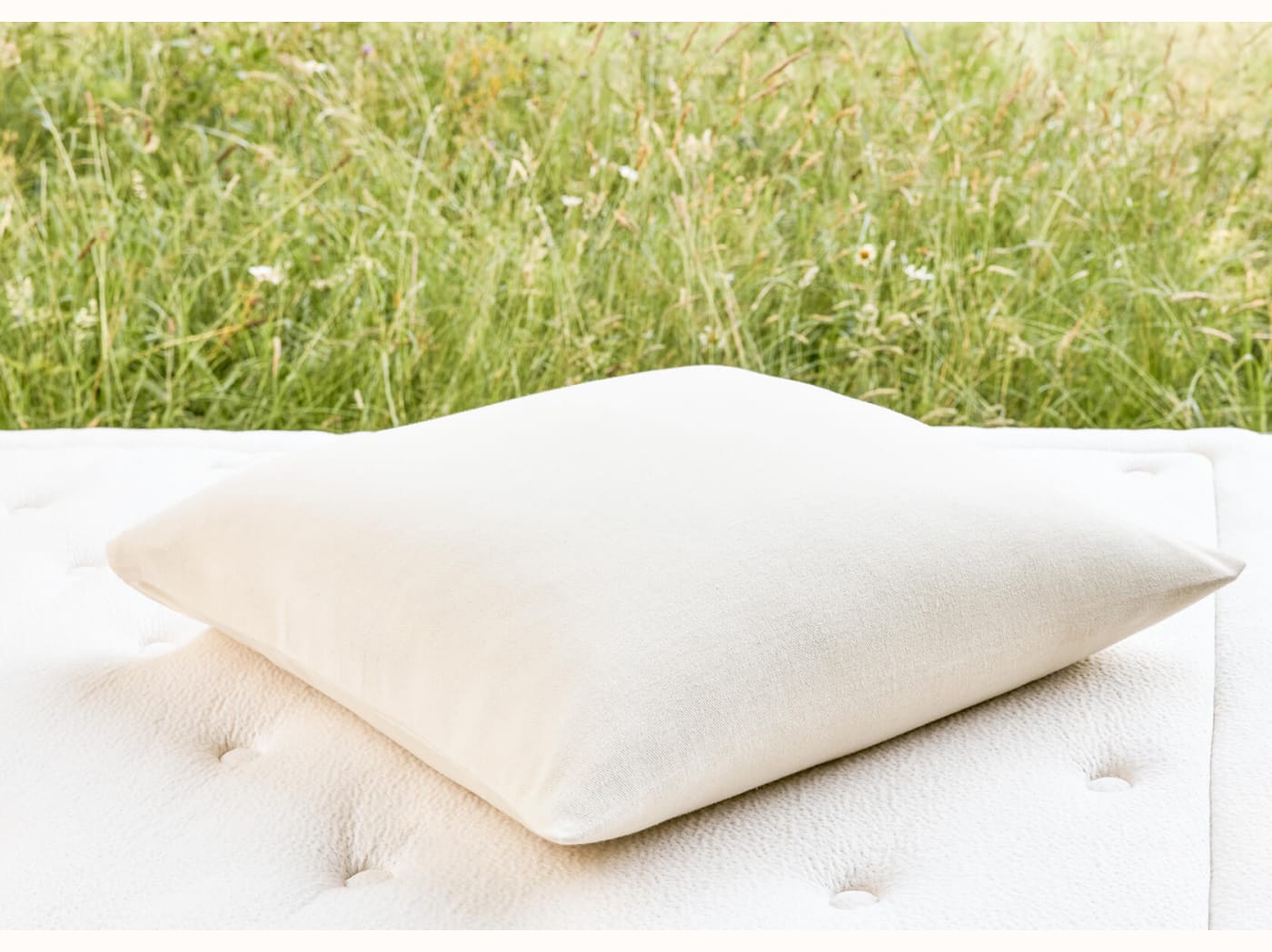 Protège-oreiller en coton biologique