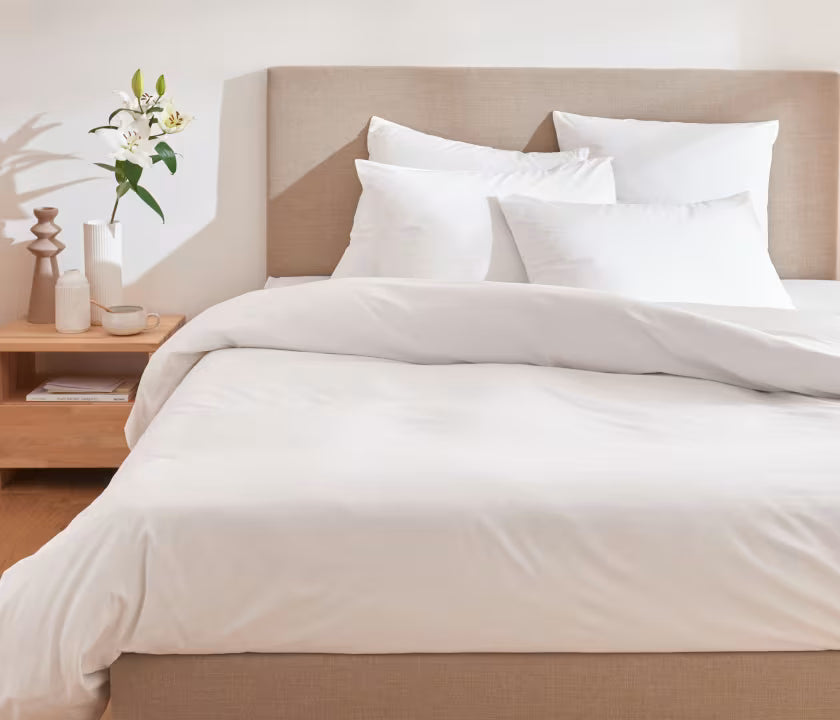 Drap housse en coton Prestige