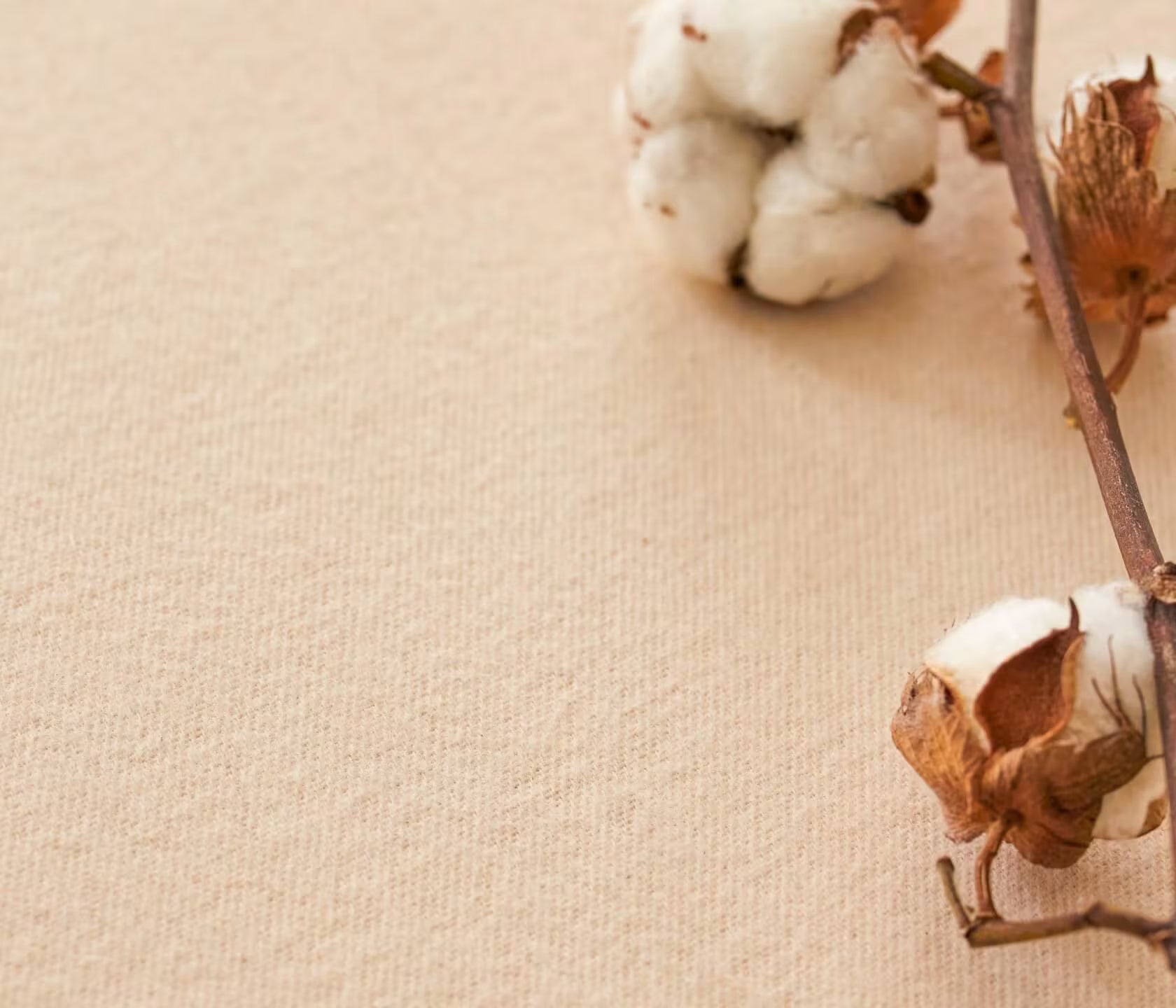 Protège-matelas en coton biologique - bonnet 40 cm