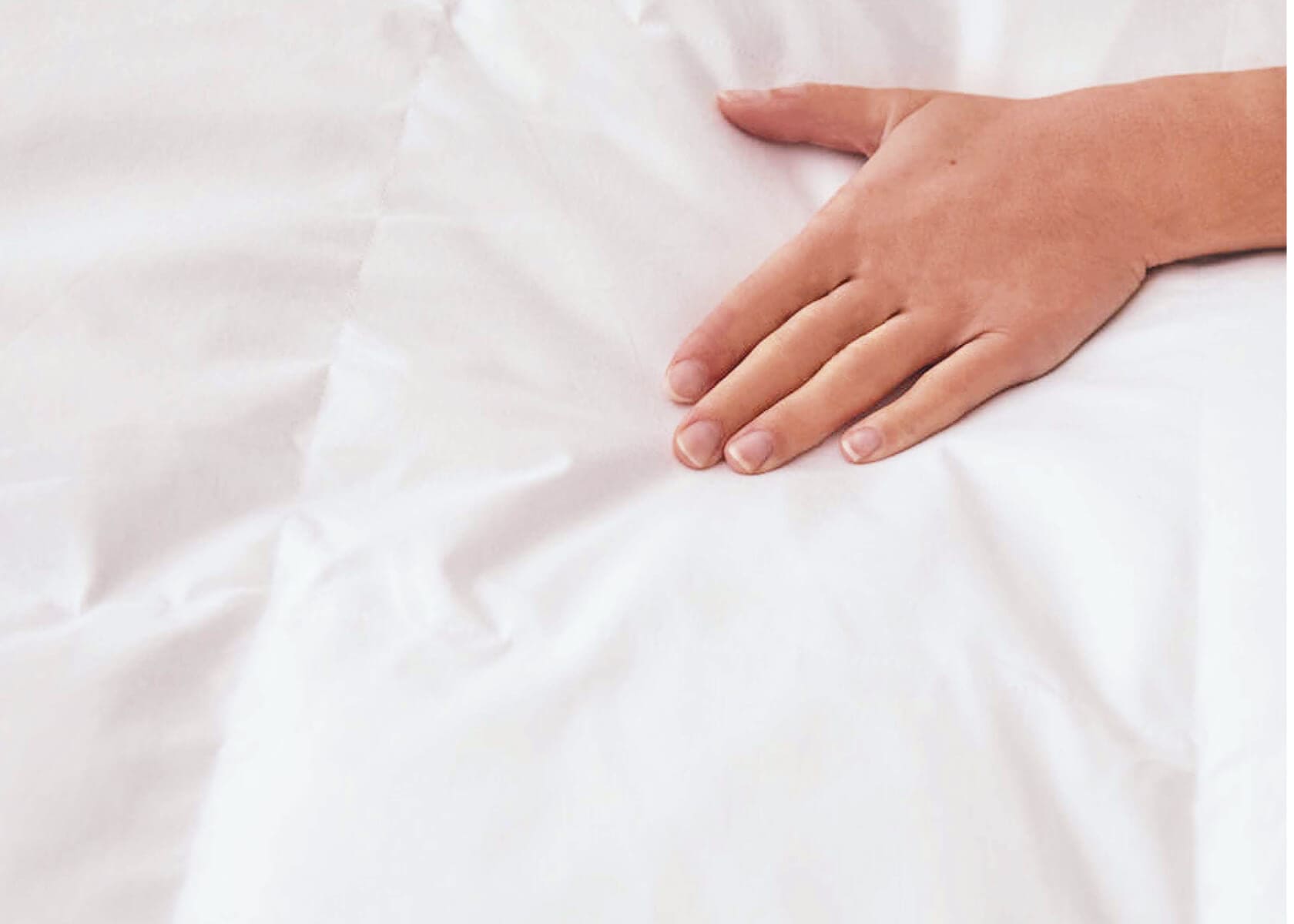 Couette en duvet et plumes