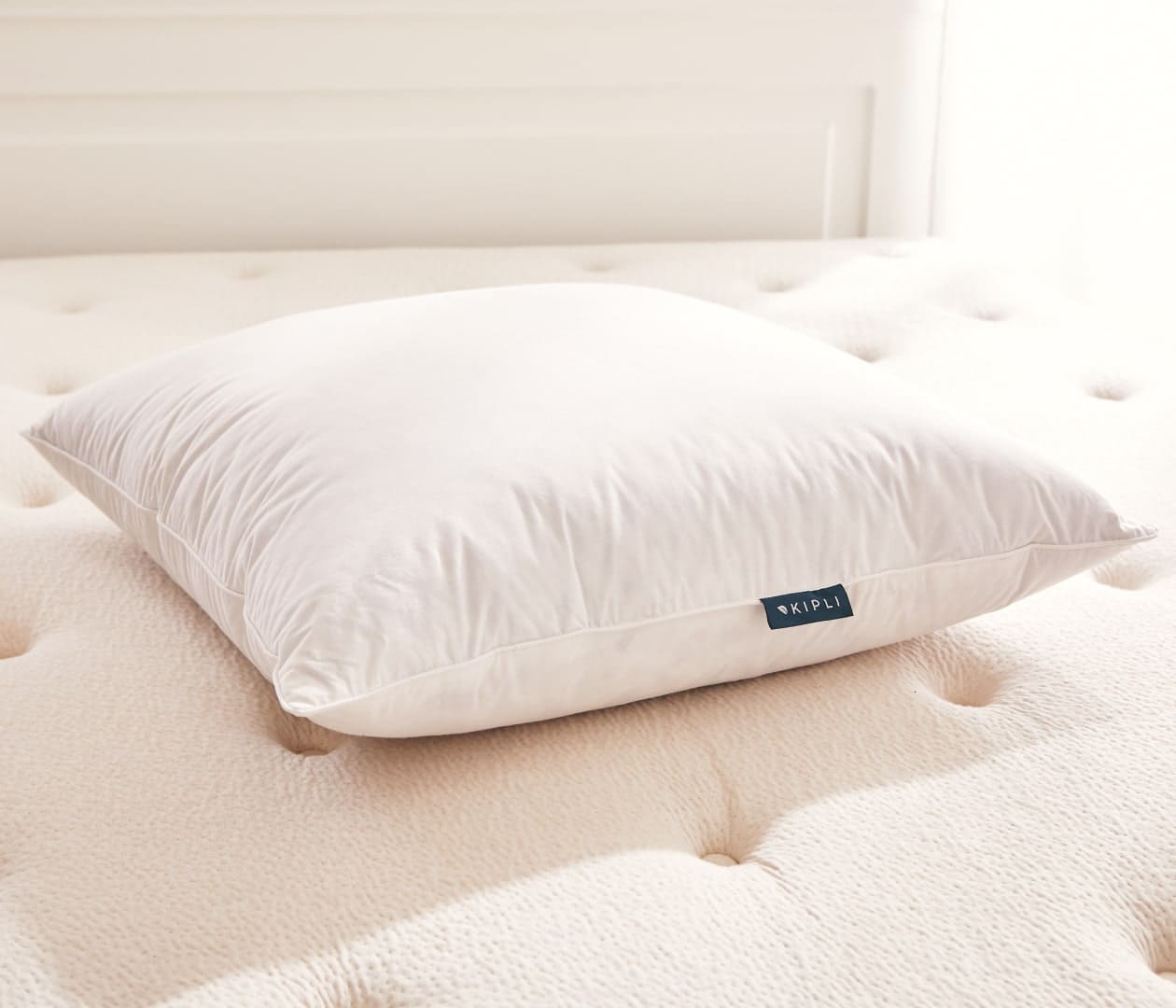 Oreiller en plumes et duvet