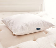 Oreiller en plumes et duvet